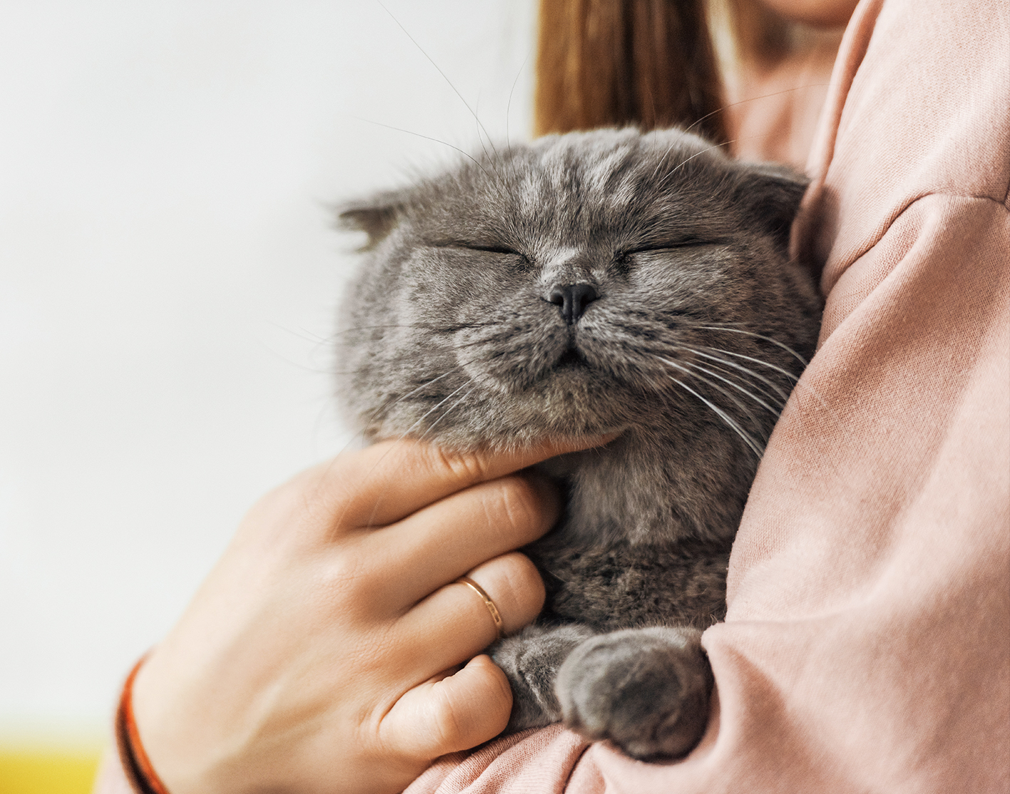 Tutora feliz com seu gato
