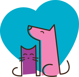 Pet feliz com proteção APet