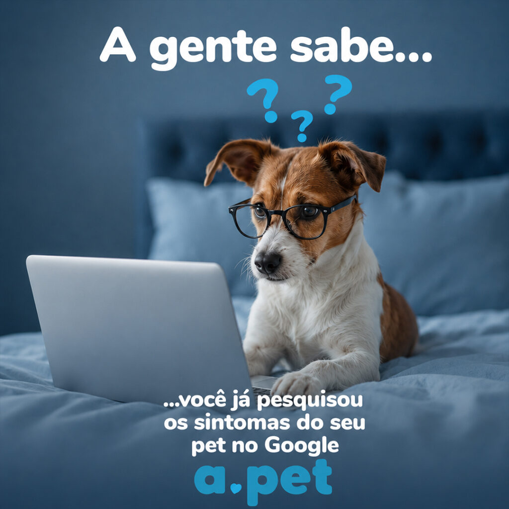 Telemedicina veterinária 24 horas para dúvidas sobre sintomas do pet